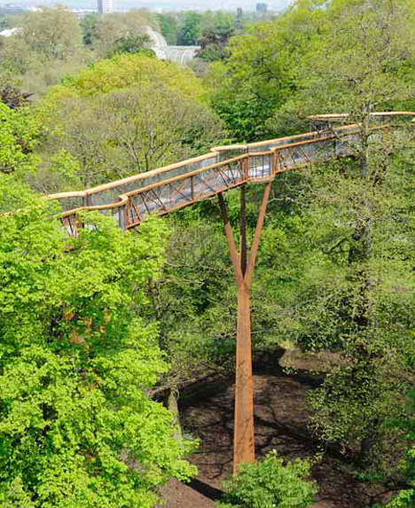 Bridge to Photosynthia